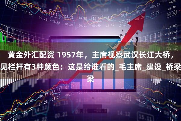 黄金外汇配资 1957年，主席视察武汉长江大桥，见栏杆有3种颜色：这是给谁看的_毛主席_建设_桥梁