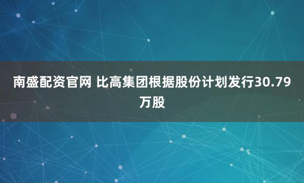 南盛配资官网 比高集团根据股份计划发行30.79万股