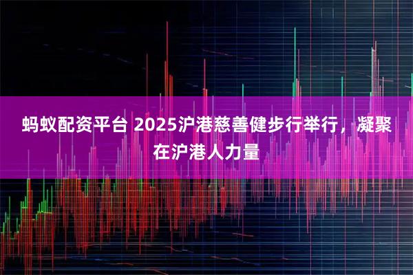 蚂蚁配资平台 2025沪港慈善健步行举行，凝聚在沪港人力量
