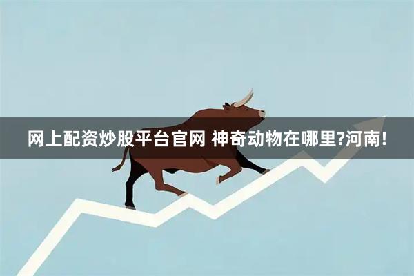 网上配资炒股平台官网 神奇动物在哪里?河南!