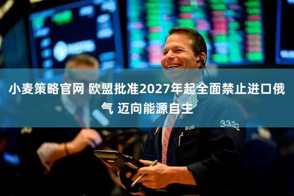 小麦策略官网 欧盟批准2027年起全面禁止进口俄气 迈向能源自主