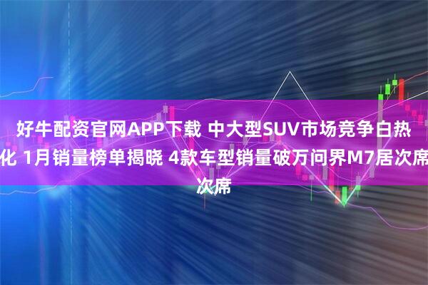 好牛配资官网APP下载 中大型SUV市场竞争白热化 1月销量榜单揭晓 4款车型销量破万问界M7居次席