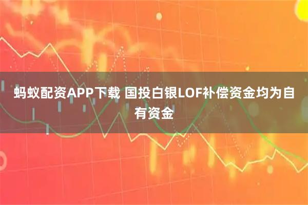 蚂蚁配资APP下载 国投白银LOF补偿资金均为自有资金